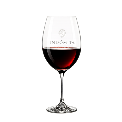 Copa de cristal INDÓMITA